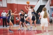 Basketball: TC Roberson at Hendersonville (BR3_2422)