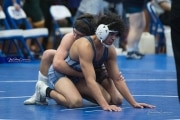 Wrestling Falcon Frenzy (BR3_4479)