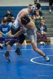 Wrestling Falcon Frenzy (BR3_4495)