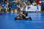 Wrestling Falcon Frenzy (BR3_4501)