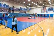 Wrestling Falcon Frenzy (BR3_4516)
