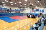 Wrestling Falcon Frenzy (BR3_4518)