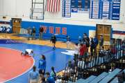 Wrestling Falcon Frenzy (BR3_4524)
