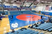 Wrestling Falcon Frenzy (BR3_4530)