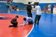 Wrestling Falcon Frenzy (BR3_4531)