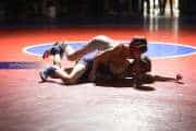 Wrestling Falcon Frenzy (BR3_4651)