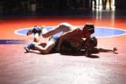 Wrestling Falcon Frenzy (BR3_4652)