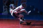 Wrestling Falcon Frenzy (BR3_4670)