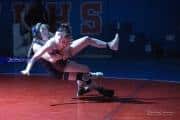 Wrestling Falcon Frenzy (BR3_4672)