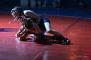 Wrestling Falcon Frenzy (BR3_4687)