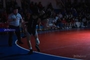 Wrestling Falcon Frenzy (BR3_4742)