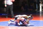 Wrestling Falcon Frenzy (BR3_4789)