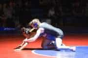 Wrestling Falcon Frenzy (BR3_4815)