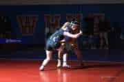 Wrestling Falcon Frenzy (BR3_4819)