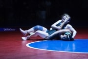 Wrestling Falcon Frenzy (BR3_4852)