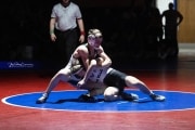 Wrestling Falcon Frenzy (BR3_4882)