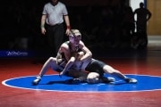 Wrestling Falcon Frenzy (BR3_4883)