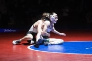 Wrestling Falcon Frenzy (BR3_4890)