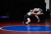 Wrestling Falcon Frenzy (BR3_4904)