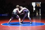 Wrestling Falcon Frenzy (BR3_4922)