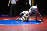 Wrestling Falcon Frenzy (BR3_4933)