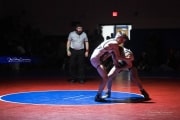Wrestling Falcon Frenzy (BR3_4938)