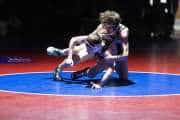 Wrestling Falcon Frenzy (BR3_4942)