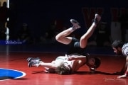 Wrestling Falcon Frenzy (BR3_4957)