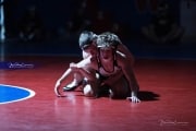 Wrestling Falcon Frenzy (BR3_4968)