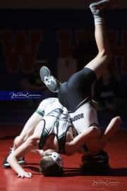 Wrestling Falcon Frenzy (BR3_4972)