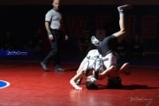 Wrestling Falcon Frenzy (BR3_4973)