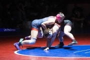 Wrestling Falcon Frenzy (BR3_4987)