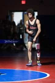 Wrestling Falcon Frenzy (BR3_5022)