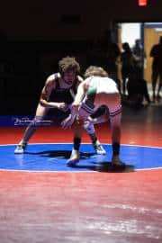Wrestling Falcon Frenzy (BR3_5029)