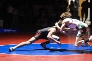 Wrestling Falcon Frenzy (BR3_5031)