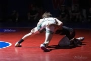 Wrestling Falcon Frenzy (BR3_5036)