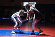 Wrestling Falcon Frenzy (BR3_5056)