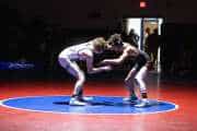 Wrestling Falcon Frenzy (BR3_5060)