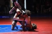 Wrestling Falcon Frenzy (BR3_5189)