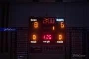 Wrestling Falcon Frenzy (BR3_5218)