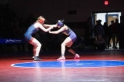 Wrestling Falcon Frenzy (BR3_5232)