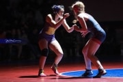 Wrestling Falcon Frenzy (BR3_5236)