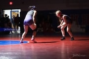 Wrestling Falcon Frenzy (BR3_5244)
