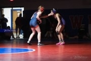 Wrestling Falcon Frenzy (BR3_5255)
