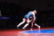 Wrestling Falcon Frenzy (BR3_5265)