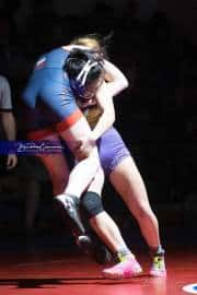 Wrestling Falcon Frenzy (BR3_5274)