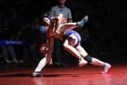 Wrestling Falcon Frenzy (BR3_5276)