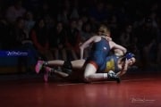 Wrestling Falcon Frenzy (BR3_5281)