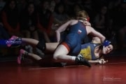 Wrestling Falcon Frenzy (BR3_5282)