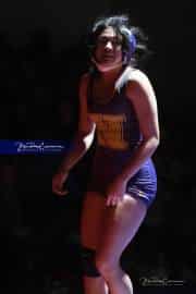 Wrestling Falcon Frenzy (BR3_5307)
